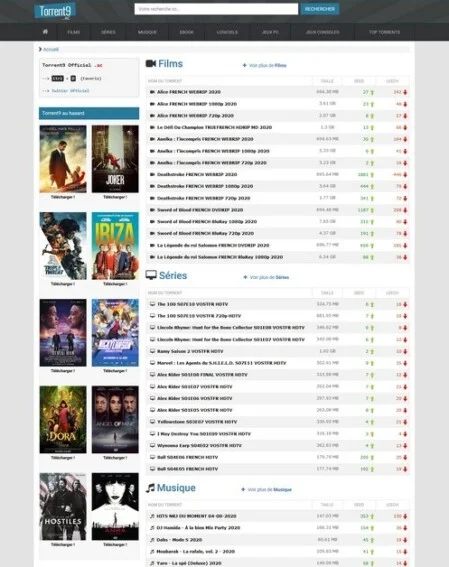 torrent9-2023-torrent films series