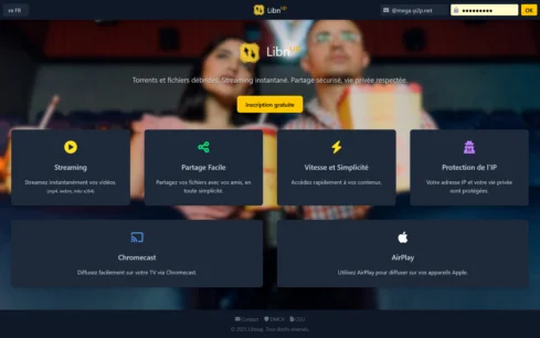 Libnup Downloader, 1fichier  torrent ddl streaming